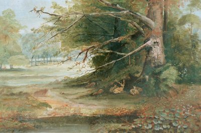Deer in a Woodland Glade by Unknown